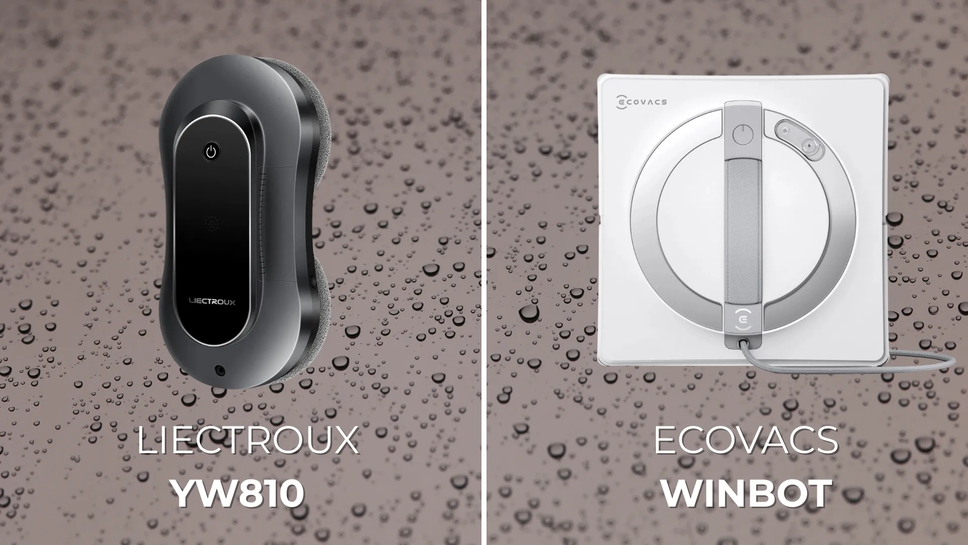 ecovacs winbot et liectroux yw810
